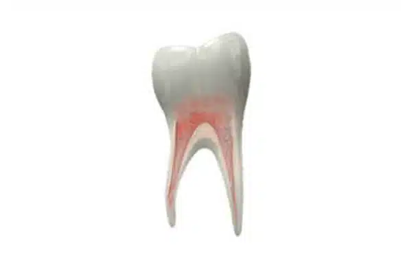 Common-endodontic-procedures